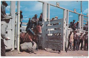 Ya Hoo, Yowie!, Man on Horse, Penticton, British Columbia, Canada, PU-1956