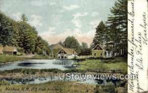 U.S. Fish Hatchery in Nashua, New Hampshire