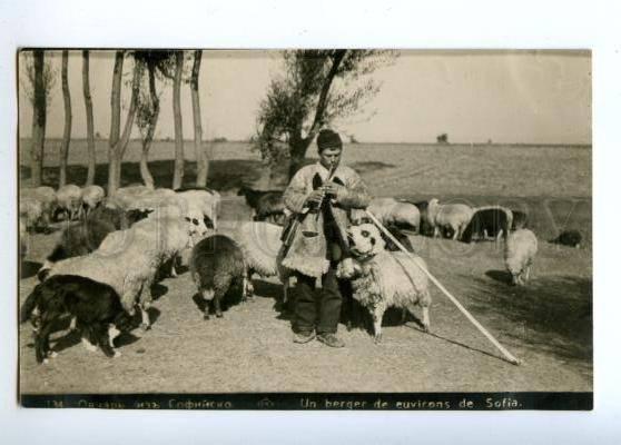 173289 BULGARIA SOFIA sheepherd musician Vintage photopostcard