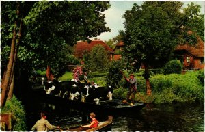 CPA AK Boat Carrying Cows - Netherlands - 1960's SHIPS (911199)