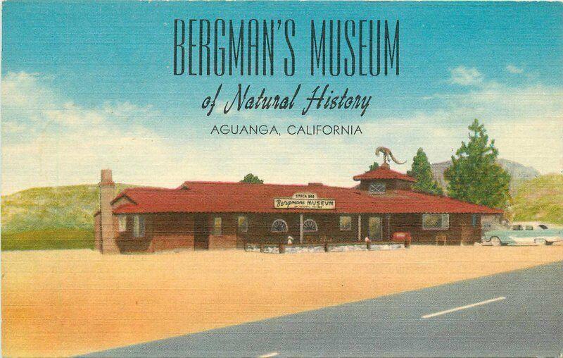 Aguanga California Bergman's Museum 1950s Postcard Lacquer Graph 2045