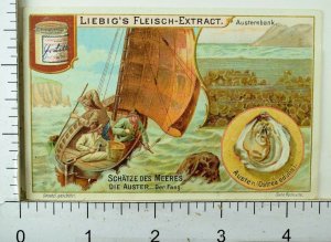 1880's Treasures Of The Sea Lovely Scenes Liebig Victorian 6 Trade Card Set K60