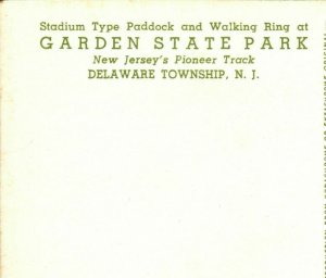 Postcard New Jersey Garden State Park Horse Racing Stadium Track View Chrome Era 