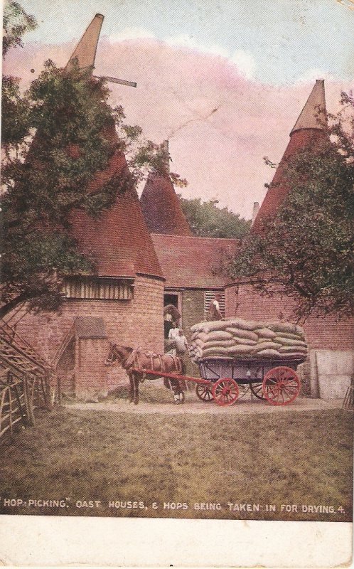 Hop Picking. Taken in for droiving. Cart Horse Old vintage English postcard