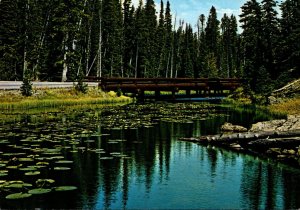 Yellowstone National Park Continental Divide Isa Lake