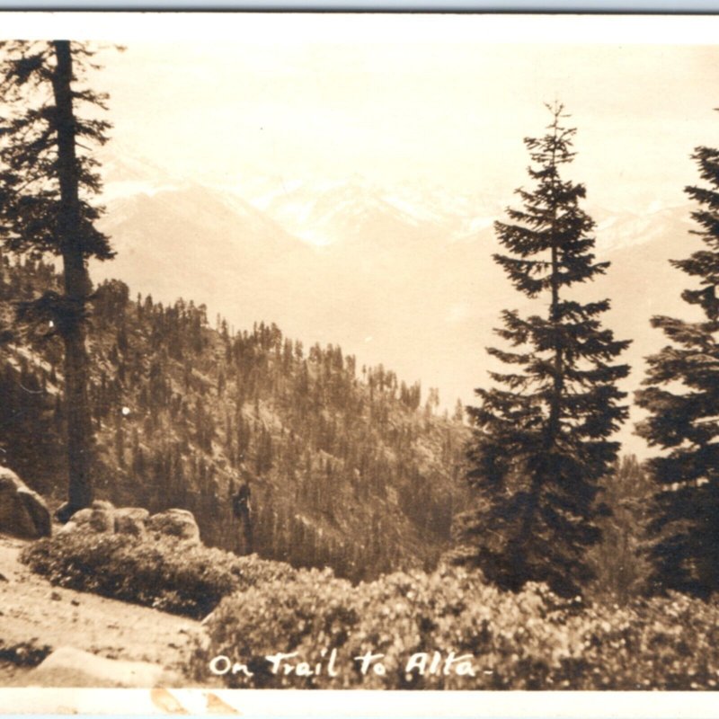 c1920s Alta Meadow, Sequoia National Park CA RPPC Trail Real Photo Postcard A135