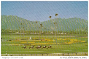 California Arcadia Santa Anita Park