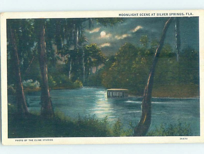 W-border NATURE SCENE Silver Springs - Near Ocala Florida FL AD4801