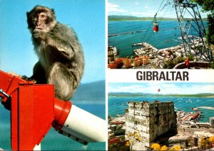 Gibraltar Multi View