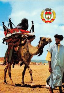 BG14222 mariage dans le haut atlas camel types folklore  morocco