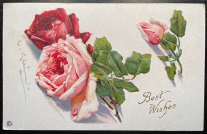 Vintage Victorian Postcard 1919 Best Wishes  - Red & Pink Rose Stem