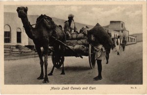 PC MAALA LOAD CAMELS AND CART ADEN ETHNIC TYPES YEMEN (a32118)