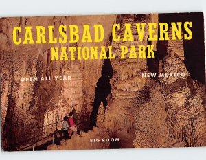 Postcard Big Room, Carlsbad Caverns National Park, New Mexico, USA