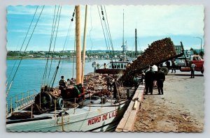 Matane Quebec Log Pulpwood Loading Ship NORD DE L'ILE Pier Photo Postcard