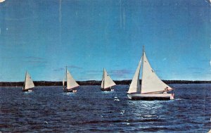 MADISON WISCONSIN~REGATTA TIME-SKY BLUE WATERS-LAKE MENDOTA~1953 PSTMK POSTCARD