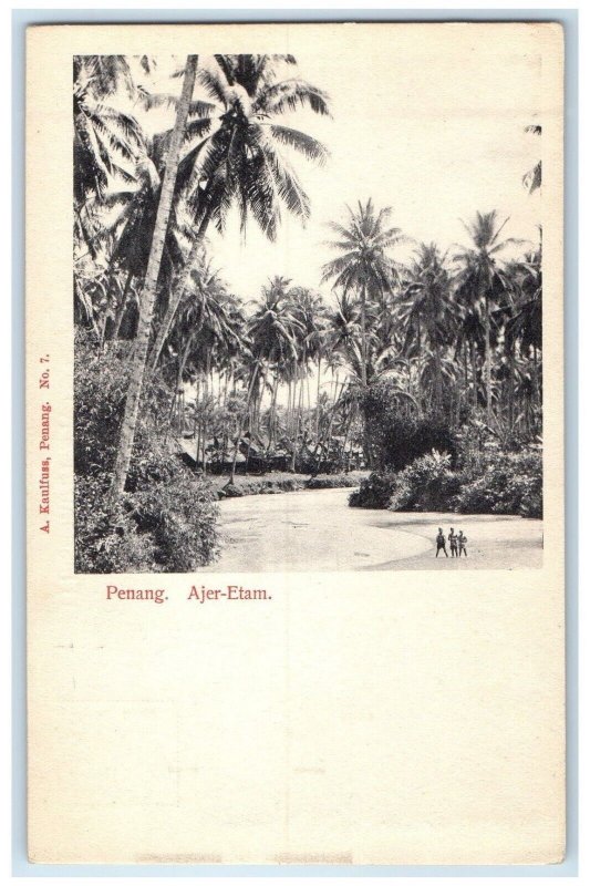 c1905 View Of Etam Penang Malaysia, Palm Trees Posted Antique Postcard