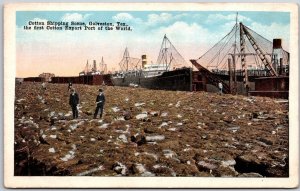 Cotton Shipping Scene Galveston Texas TX Export Port of the World Postcard