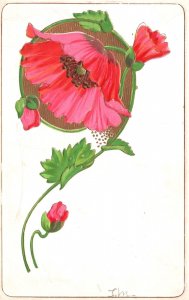 Vintage Postcard Flowers Are Happiness Blushing Red Poppy Petals Blossom