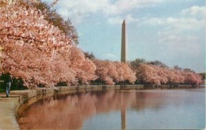 United States Washington D.C. The Washington monument