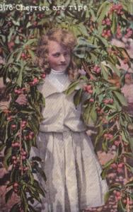 Young Girl In Cherry Orchard Cherries Are Ripe