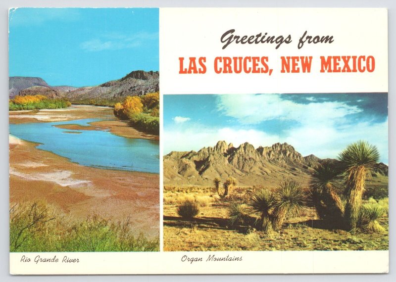 Las Cruces New Mexico~Rio Grande River~Organ Mountains~Continental Postcard 