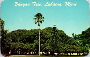 Banyan Tree Lahaina Maui Indian Islands Postcard Curteichcolor UNP Honolulu 