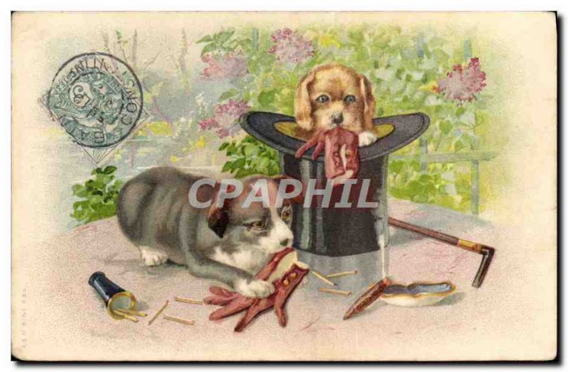 Old Postcard Fancy Cigar Smoking Dog Puppy