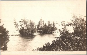 AZO RPPC Real Photo Postcard ON Muskoka Scene Near the Elgin House 1930s K67