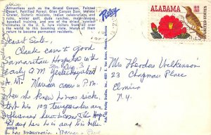 Arizona USA Greetings From Postal Used Unknown 