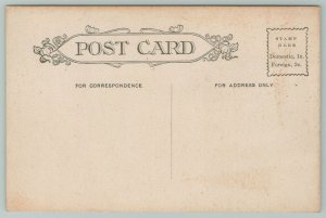 Lansing Michigan~Carnegie Library~c1910 Postcard