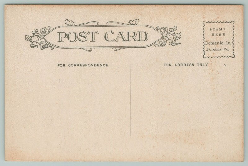 Lansing Michigan~Carnegie Library~c1910 Postcard