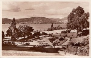 Postcard RPPC View Botanic Gardens Hobart Australia