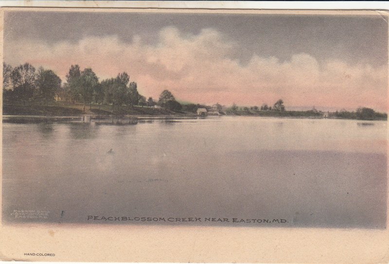 P1796 old hand colored peachblossom creek near easton maryland