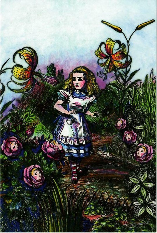 Lily in Wonderland