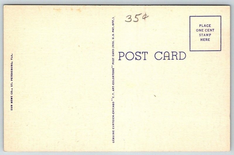 Vintage Florida Postcard -  Fisherman on Causeway Bridge   Clearwater