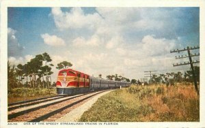 Florida 1940s Railroad Streamliner Speedy Streamliner Train Postcard 22-4293 