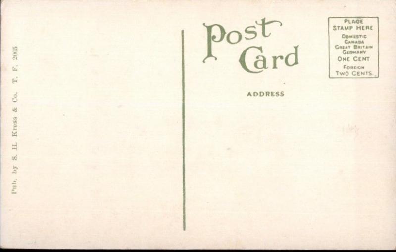 Tampa FL Hotel Lobby c1910 Postcard