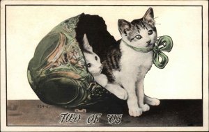 Kittens Cats in Vase Two of Us c1910 Vintage Postcard