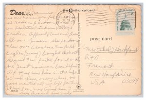 Postcard Continental Size Hello From Alaska c1976 Postmark Multi View