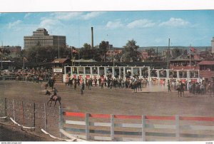 CALGARY, Alberta, Canada, 40-60's; The Rodeo, Calgary Stampede