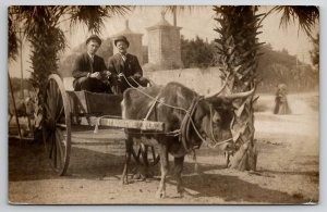RPPC St Augustine Florida Men Oxon Cart at Old City Gates 1908 Postcard B26