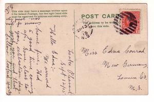 Forget Me Not, Blue Flowers, Used 1915 Split Ring Cancel Nova Scotia