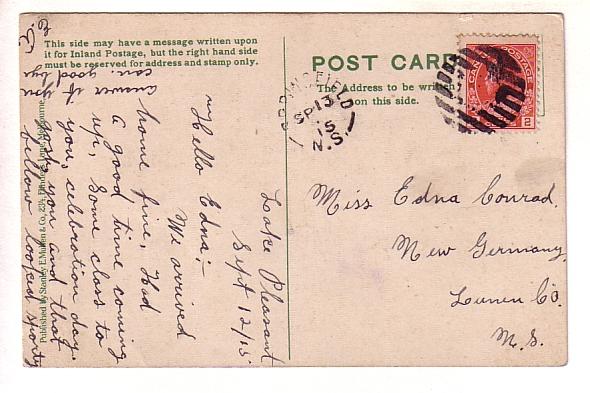 Forget Me Not, Blue Flowers, Used 1915 Split Ring Cancel Nova Scotia