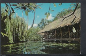 America Postcard - Hawaii - The Willows Restaurant, Honolulu   RS12281