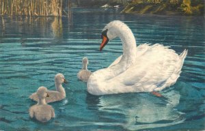 Swan 1958 postcard