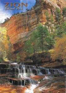 Zion National Park Utah has a Great Diversity of Plants & Animals 4 by 6