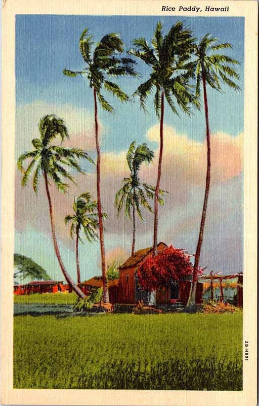 Postcard HOUSE SCENE State of Hawaii HI AM7691