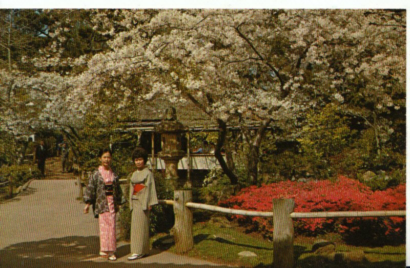 America Postcard - Japanese Tea Garden - San Francisco - California - Ref 8143A