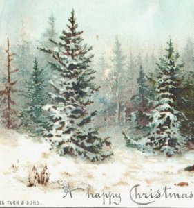 1880s Raphael Tuck A Happy Christmas To You Evergreens Snow P187