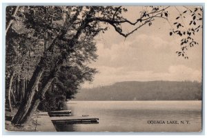 1915 Scenic View Trees at Oquaga Lake New York NY Vintage Antique Postcard